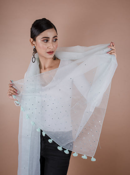 ORGANZA EMD DUPATTA