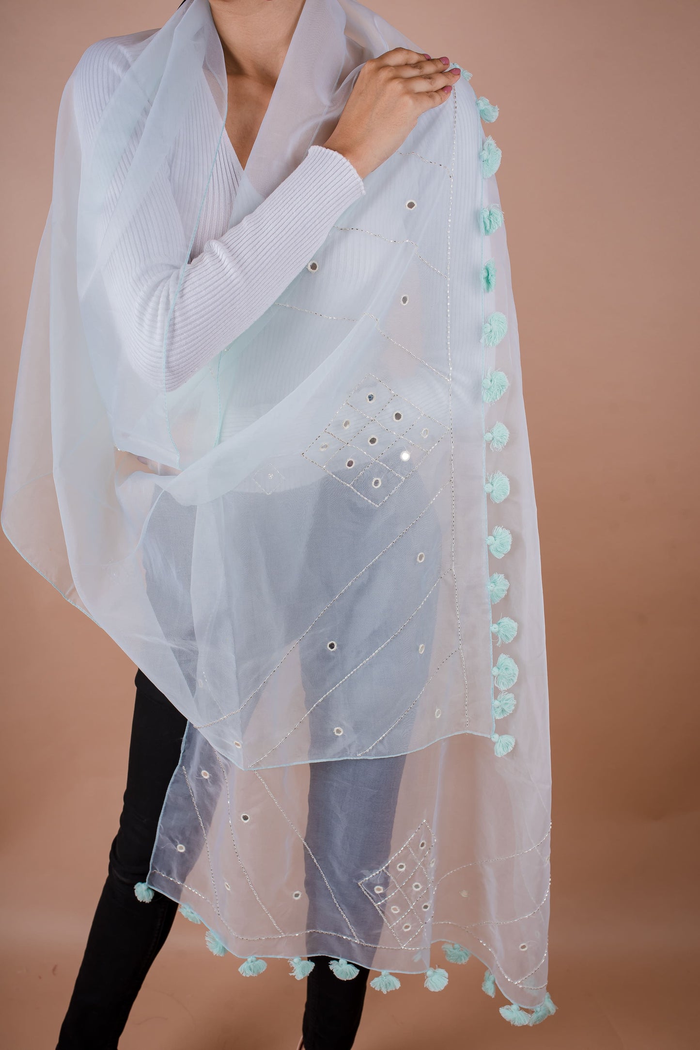 ORGANZA EMD DUPATTA